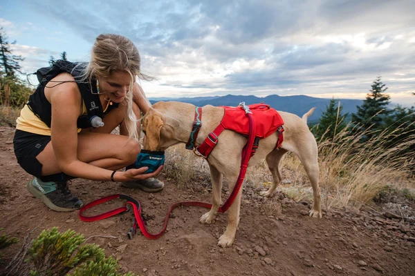 Ruffwear® Flat Out™ Collar - повседневный плоский ошейник