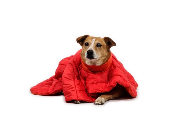 Пончо RUFFWEAR® Palisades™