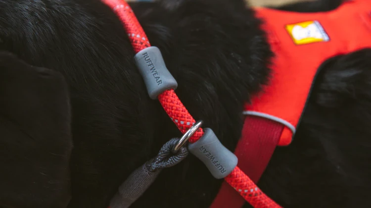 Ruffwear® Just-a-Cinch™ поводок (репшнур-ринговка) 