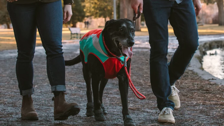 Ruffwear® Just-a-Cinch™ поводок (репшнур-ринговка) 