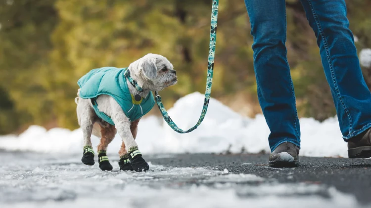 1 Ботинок RUFFWEAR® Summit Trex™ New