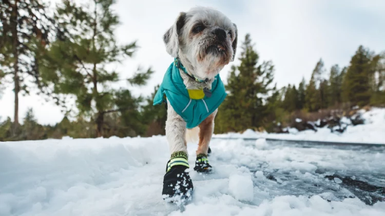 1 Ботинок RUFFWEAR® Summit Trex™ New