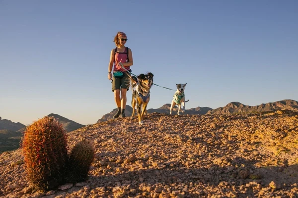 Ruffwear® Hi & Light™ облегченный поводок - пара
