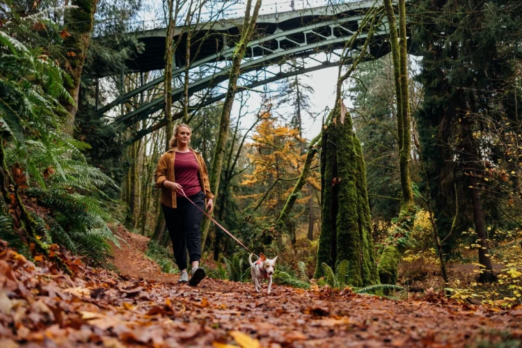 Ruffwear® Hi & Light™ облегченный поводок - пара