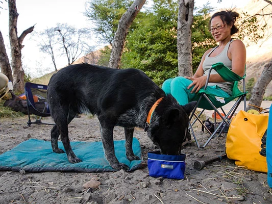 Простая легкая складывающаяся миска для воды и корма Ruffwear® Quencher™
