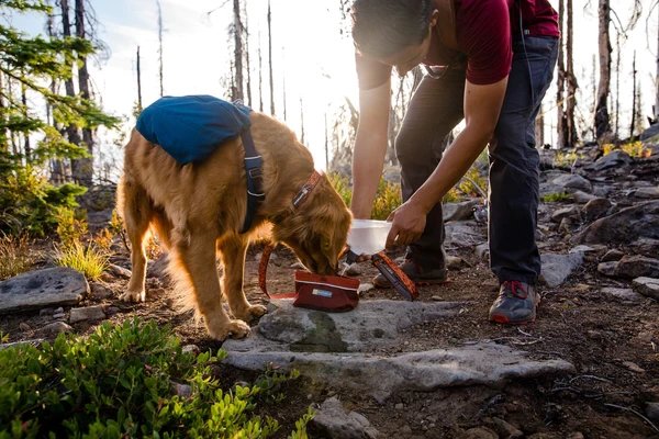 Простая легкая складывающаяся миска для воды и корма Ruffwear® Quencher™