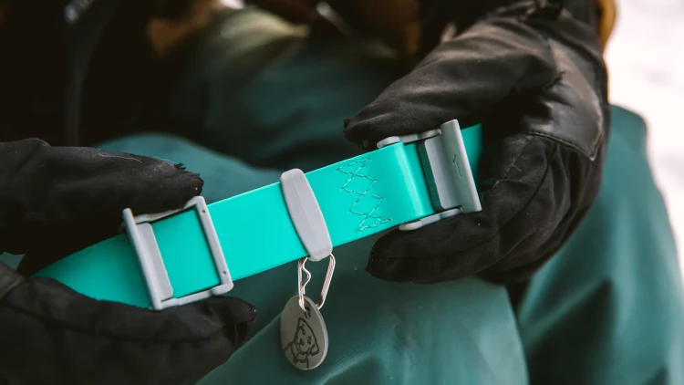 RUFFWEAR® CONFLUENCE™ водонепроницаемый ошейник 