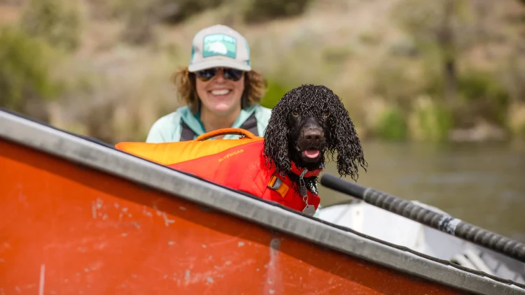 RUFFWEAR® CONFLUENCE™ водонепроницаемый ошейник 