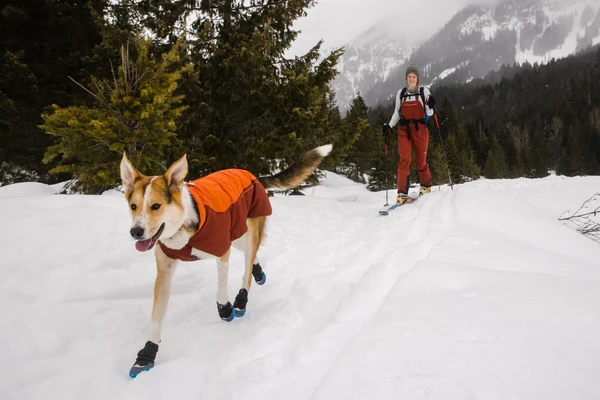 ЗИМНЯЯ ПОПОНА RUFFWEAR VERT™ JACKET
