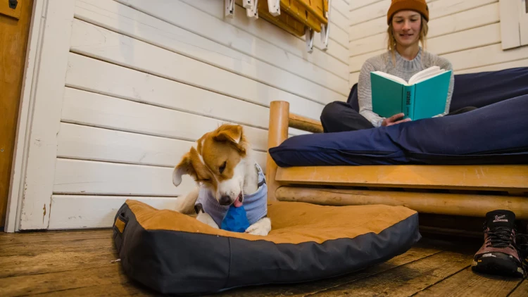 Ruffwear® Gnawt-a-Cone™ - интерактивная игрушка
