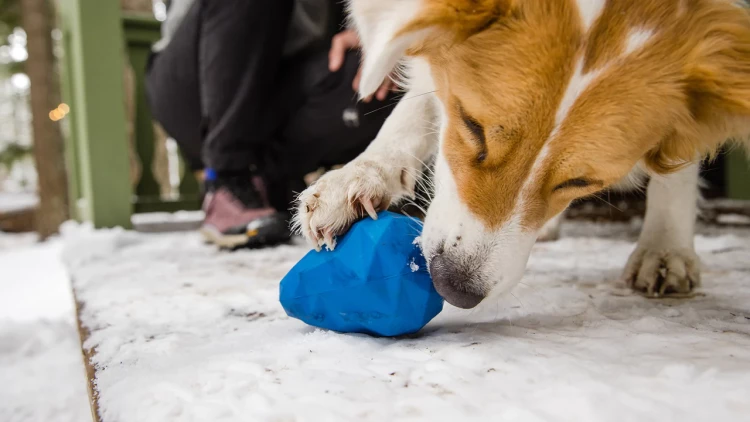 Ruffwear® Gnawt-a-Cone™ - интерактивная игрушка