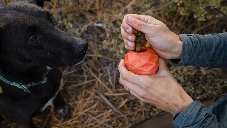 Ruffwear® Gnawt-a-Cone™ - интерактивная игрушка