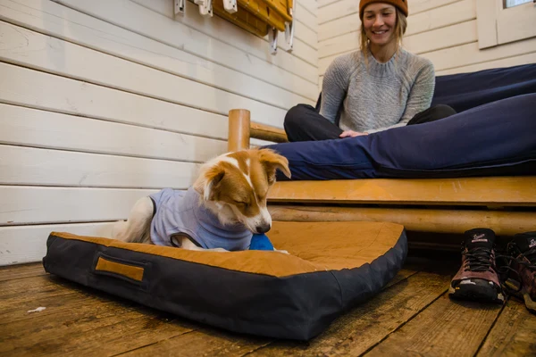 Ruffwear® Gnawt-a-Cone™ - интерактивная игрушка