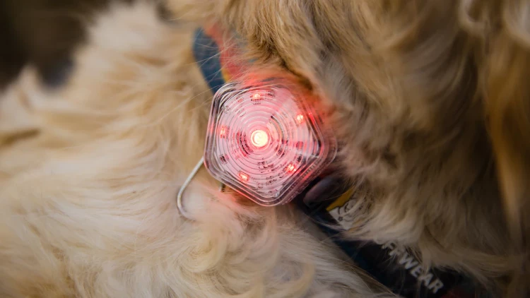 Поисковый фонарик (маячок безопасности) RUFFWEAR® Beacon™