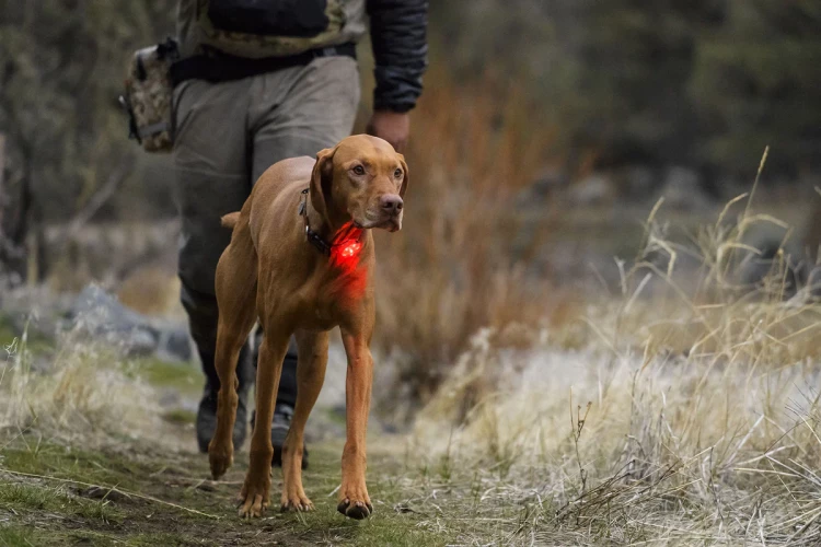Поисковый фонарик (маячок безопасности) RUFFWEAR® Beacon™