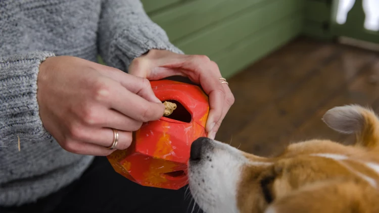 Ruffwear® Gnawt-a-Rock™ - интерактивная игрушка камень с кормом