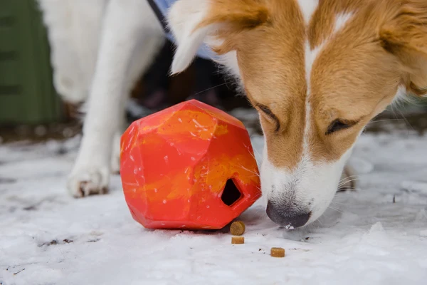 Ruffwear® Gnawt-a-Rock™ - интерактивная игрушка камень с кормом