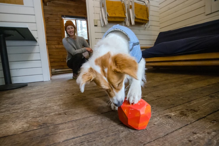 Ruffwear® Gnawt-a-Rock™ - интерактивная игрушка камень с кормом