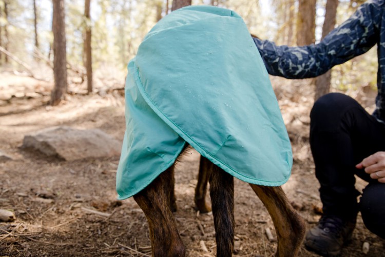 Dirtbag™ Dog Towel попона-полотенце 