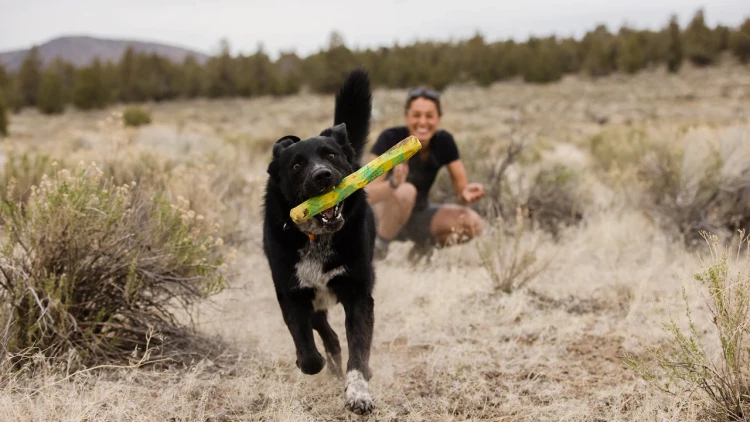 Ruffwear® Gnawt-a-Stick™ - интерактивная игрушка для собак