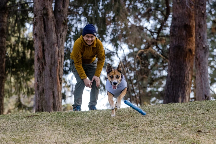 Ruffwear® Gnawt-a-Stick™ - интерактивная игрушка для собак