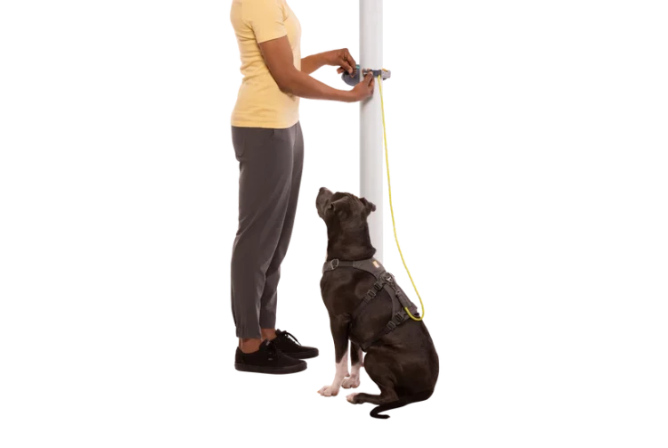 Ruffwear® Hitch Hiker™ система привязи 