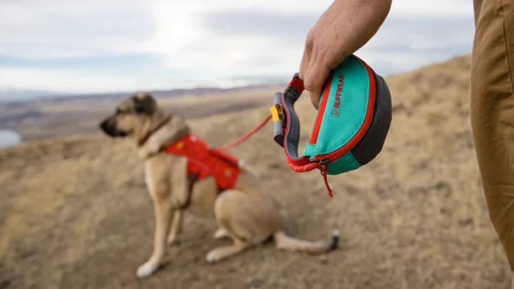 Ruffwear® Hitch Hiker™ система привязи 