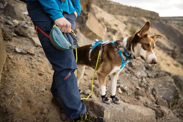 Ruffwear® Hitch Hiker™ система привязи 