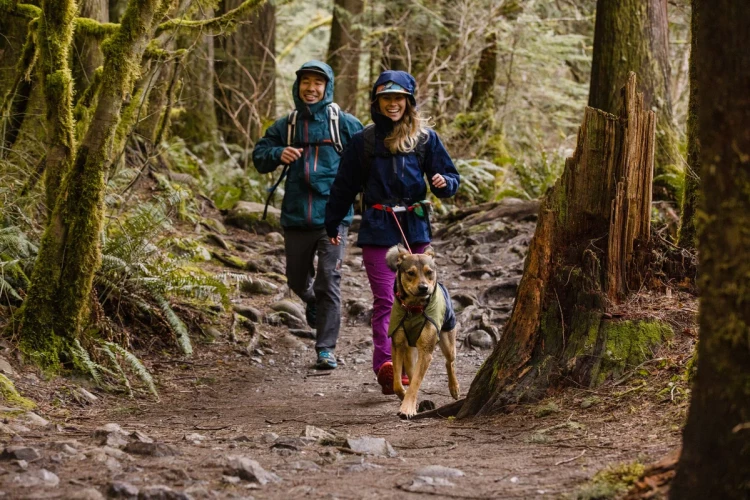 Ruffwear® Hitch Hiker™ система привязи 
