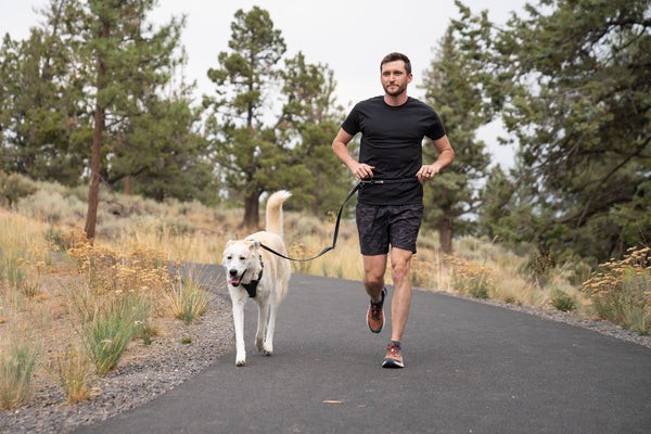Ruffwear® Switchbak™ перестежка 