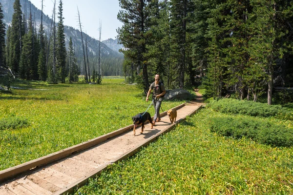 Ruffwear® Switchbak™ перестежка 