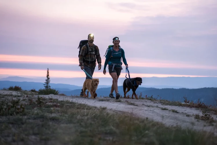 Ruffwear® Switchbak™ перестежка 
