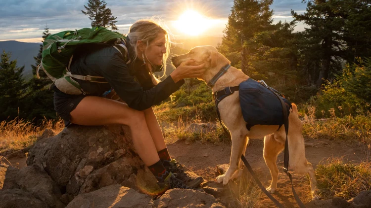 Ruffwear® Switchbak™ перестежка 