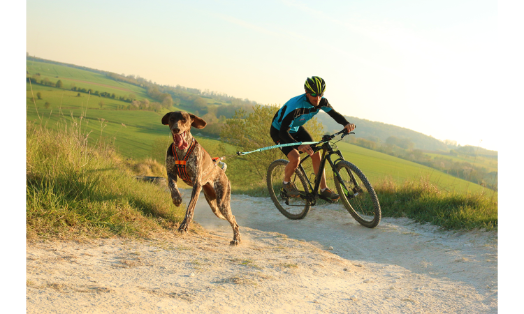 I-DOG® X-BACK-ONE CANICROSS HARNESS