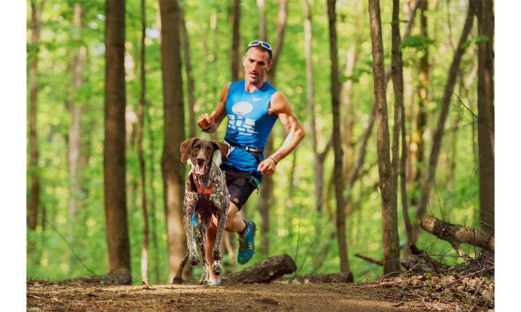 I-DOG® X-BACK-ONE CANICROSS HARNESS