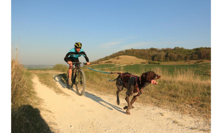 I-DOG® X-BACK-ONE CANICROSS HARNESS