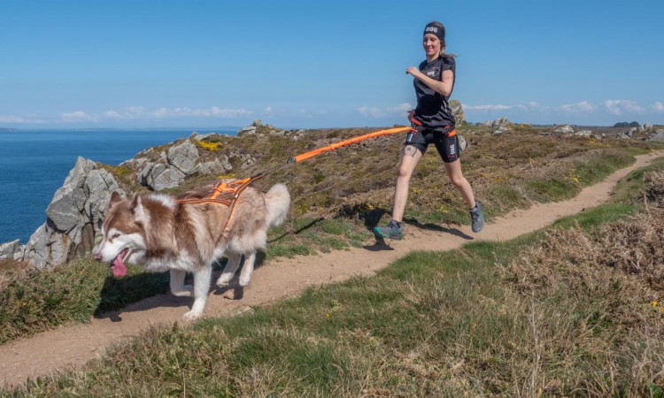 I-DOG® X-BACK-ONE CANICROSS HARNESS
