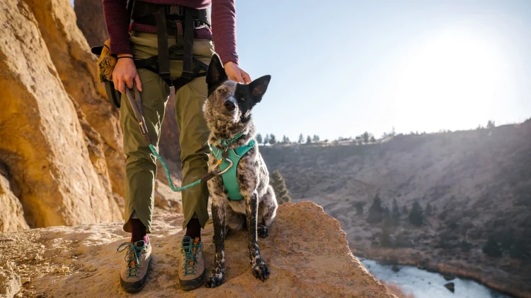 Ruffwear® Knot-a-Long™ особо прочный короткий шнур-поводок для собак с карабином 