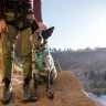 Ruffwear® Knot-a-Long™ особо прочный короткий шнур-поводок для собак с карабином 