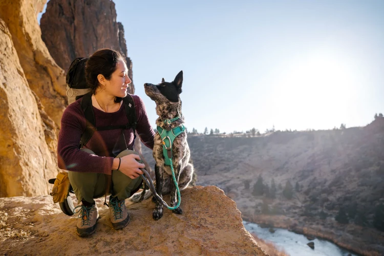 Ruffwear® Knot-a-Long™ особо прочный короткий шнур-поводок для собак с карабином 
