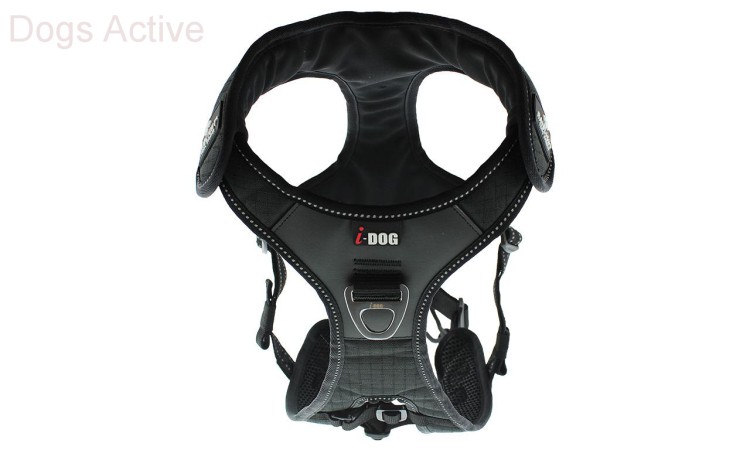 I-DOG® RAIDLIGHT HARNESS