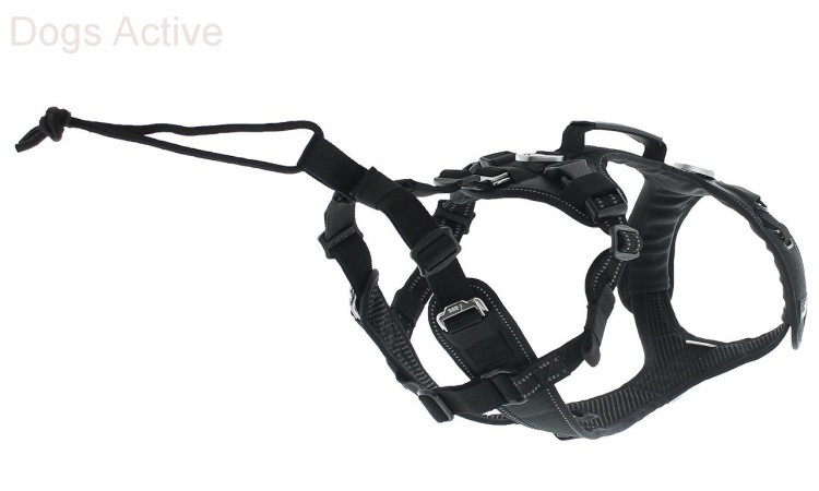 I-DOG® RAIDLIGHT HARNESS