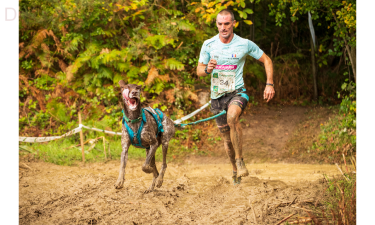 I-DOG® PHOENIX X-BACK ADJUSTABLE
