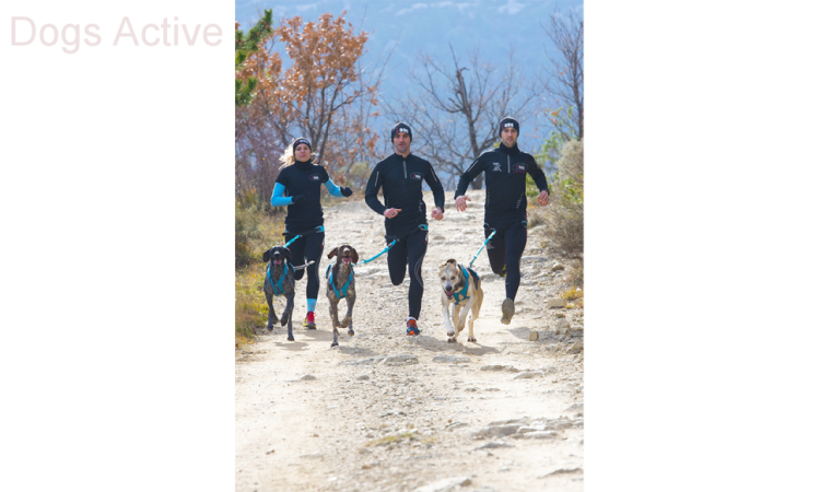 I-DOG® PHOENIX X-BACK ADJUSTABLE