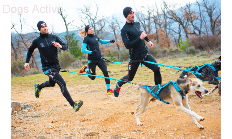 I-DOG® PHOENIX X-BACK ADJUSTABLE