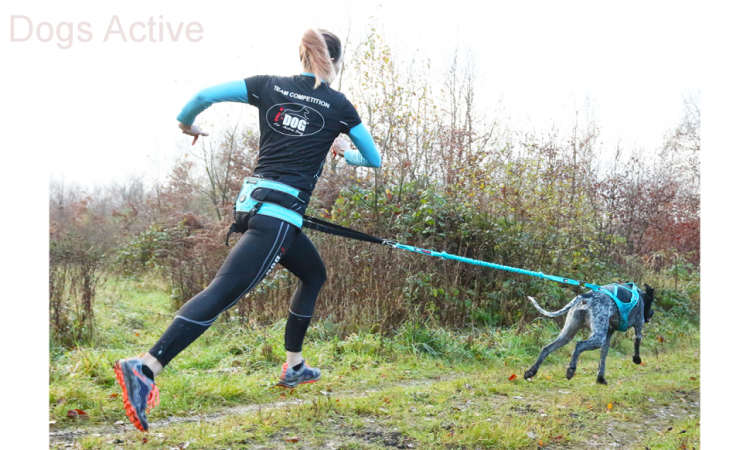 I-DOG® PHOENIX X-BACK ADJUSTABLE