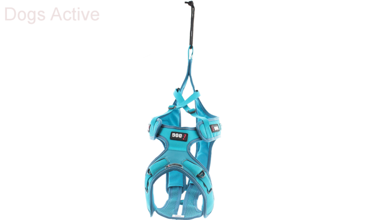 I-DOG® PHOENIX X-BACK ADJUSTABLE