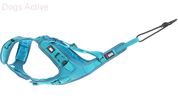 I-DOG® PHOENIX X-BACK ADJUSTABLE