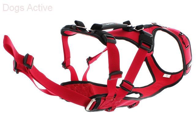 i-Dog® CONFORT TREK HARNESS