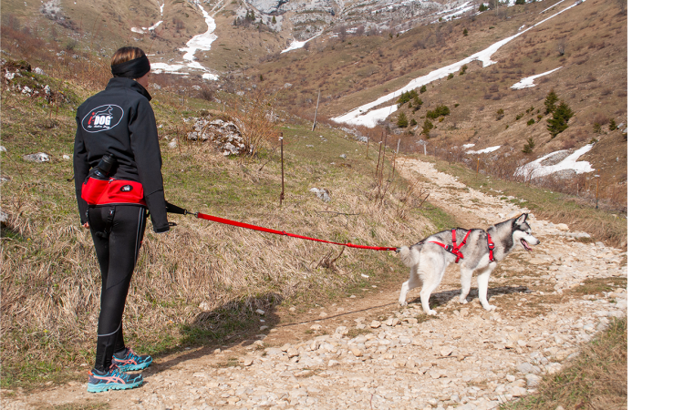 i-Dog® CONFORT TREK HARNESS